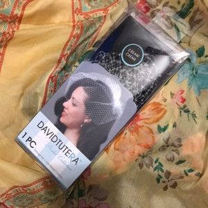 David Tutera birdcage veil